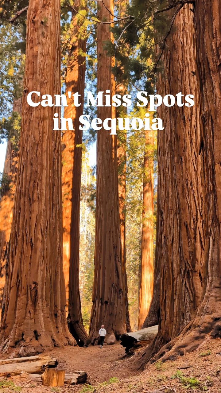 Lily & Bryan | Outdoor Adventure Couple, Sequoia National Park