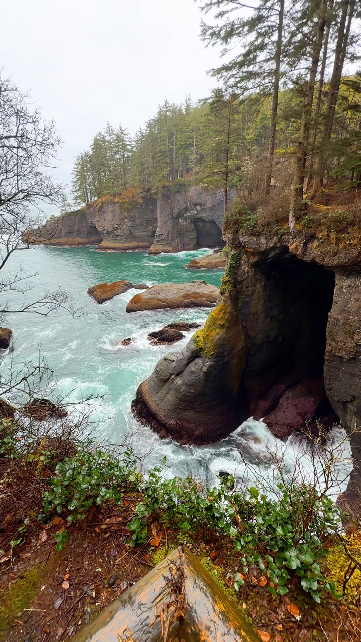 Adam | Travel + Vanlife, Olympic National Park