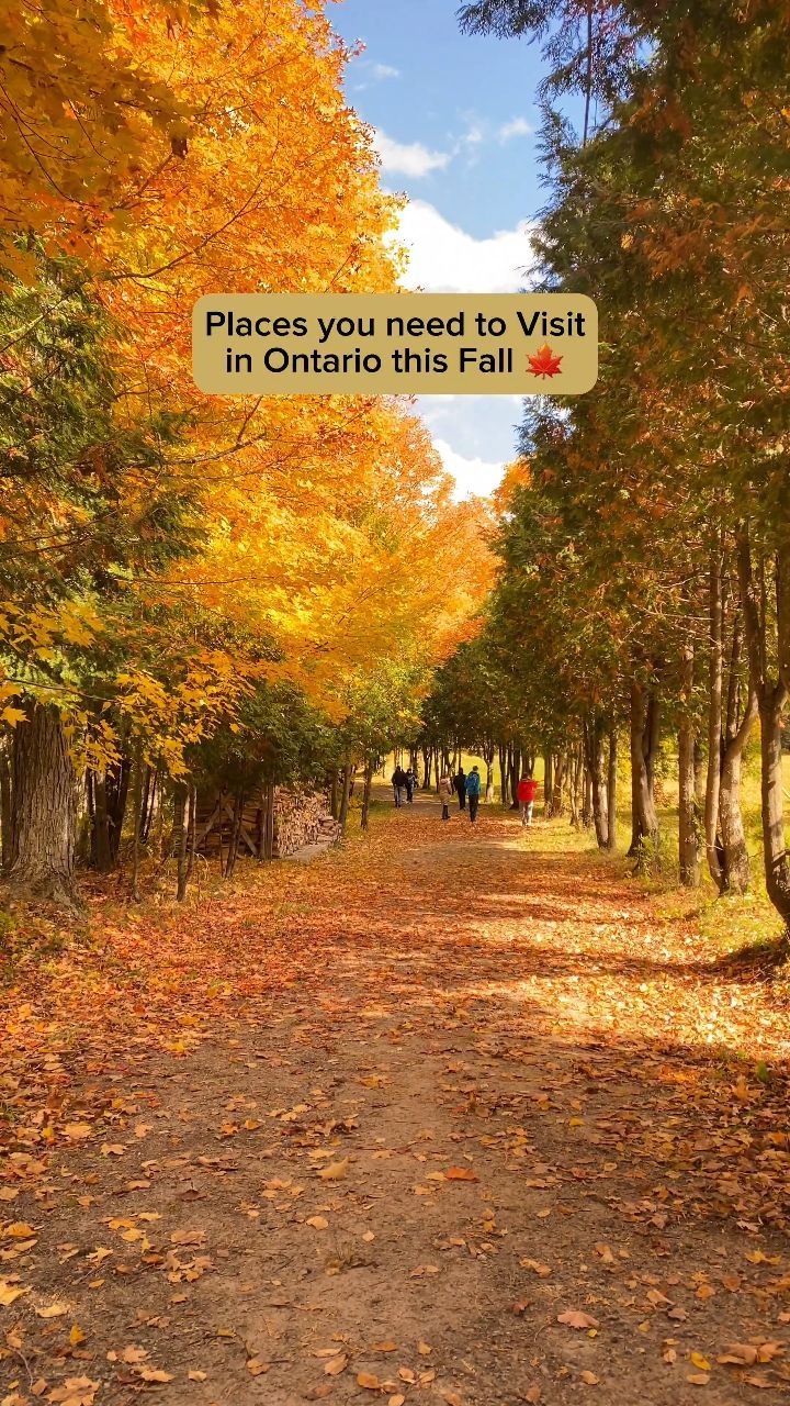 AAYUSHI SINGH | Travel & Lifestyle, High Park