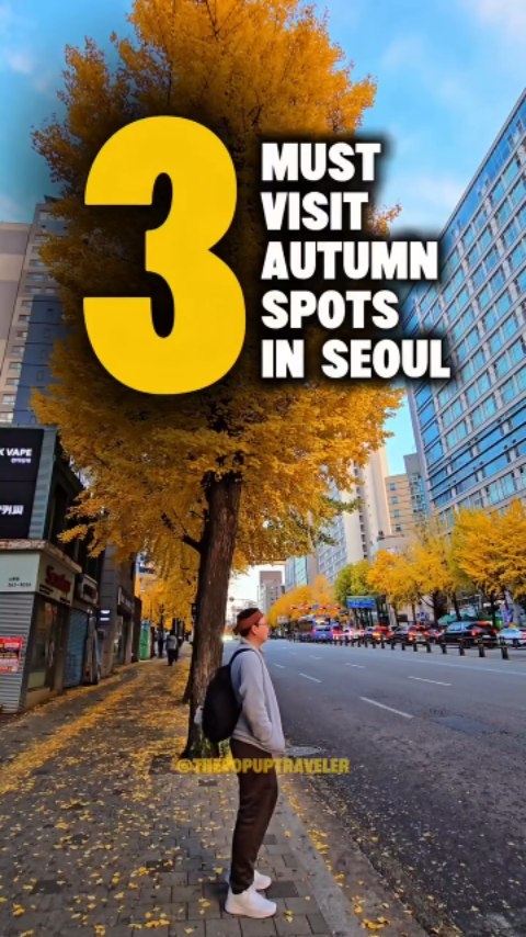 𝐄𝐫𝐢𝐜 | Travel | Food | Hotel Content Creator, Ewha Womans University