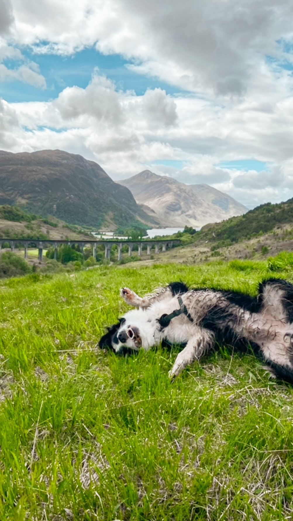 Lauren & Rich | Van Life & Dog Friendly Travel, Balmoral Castle