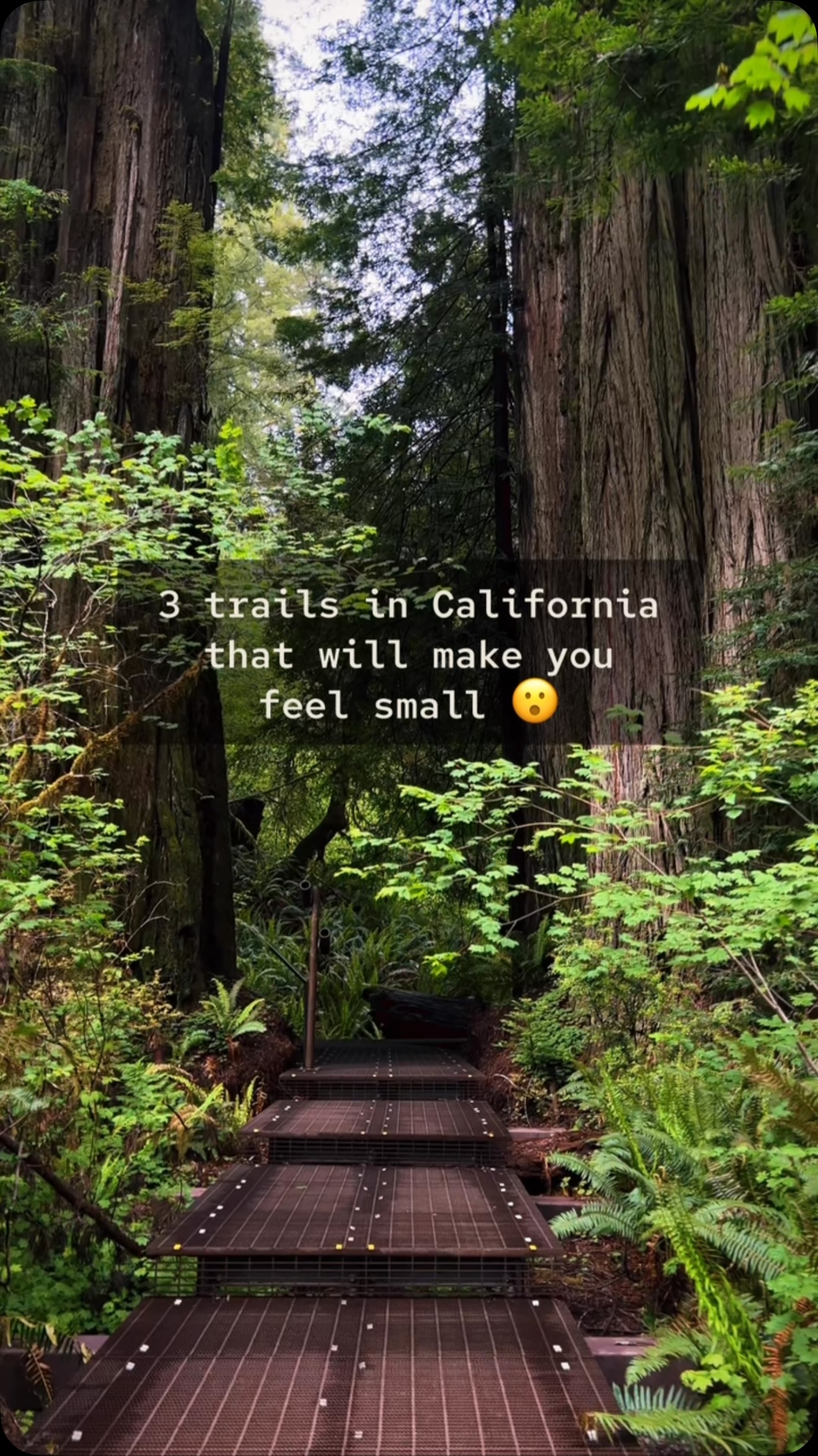 Asya Olson • California • Travel & Lifestyle, Simpson Reed Trail