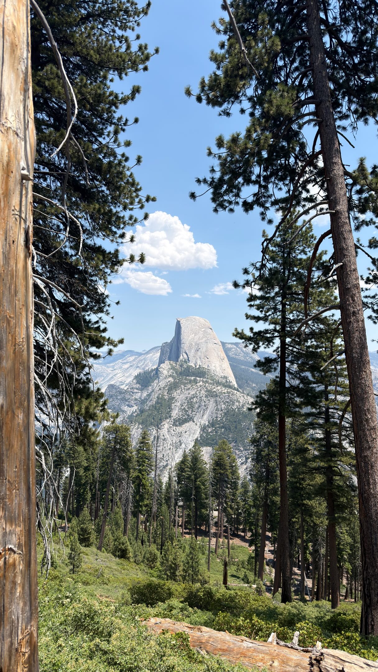 Discover California | Nature & Travel, Yosemite National Park