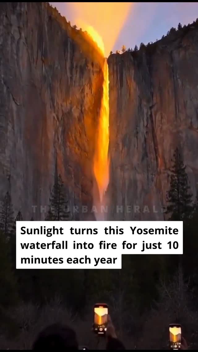 The Urban Herald, Yosemite National Park
