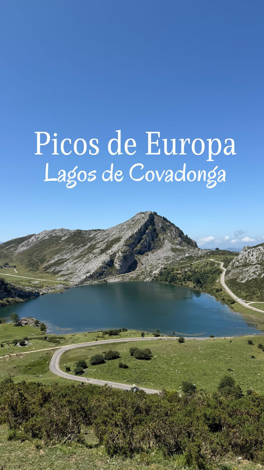 Pilgrim Eglė, Picos de Europa