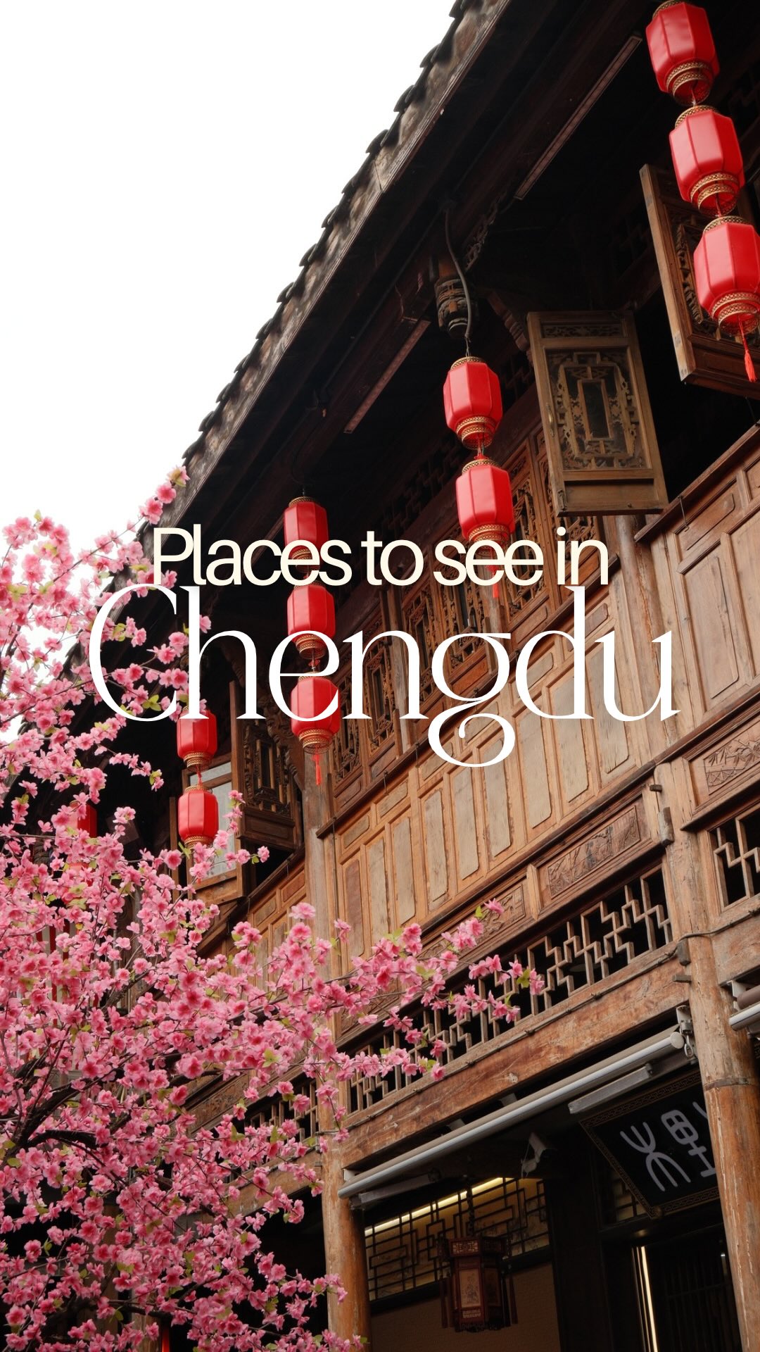 Akanksha | Solo Travel, Chengdu Research Base of Giant Panda Breeding