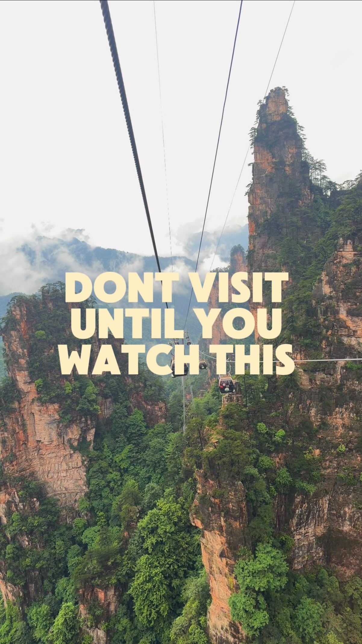 Castro🪭, Zhangjiajie National Forest Park