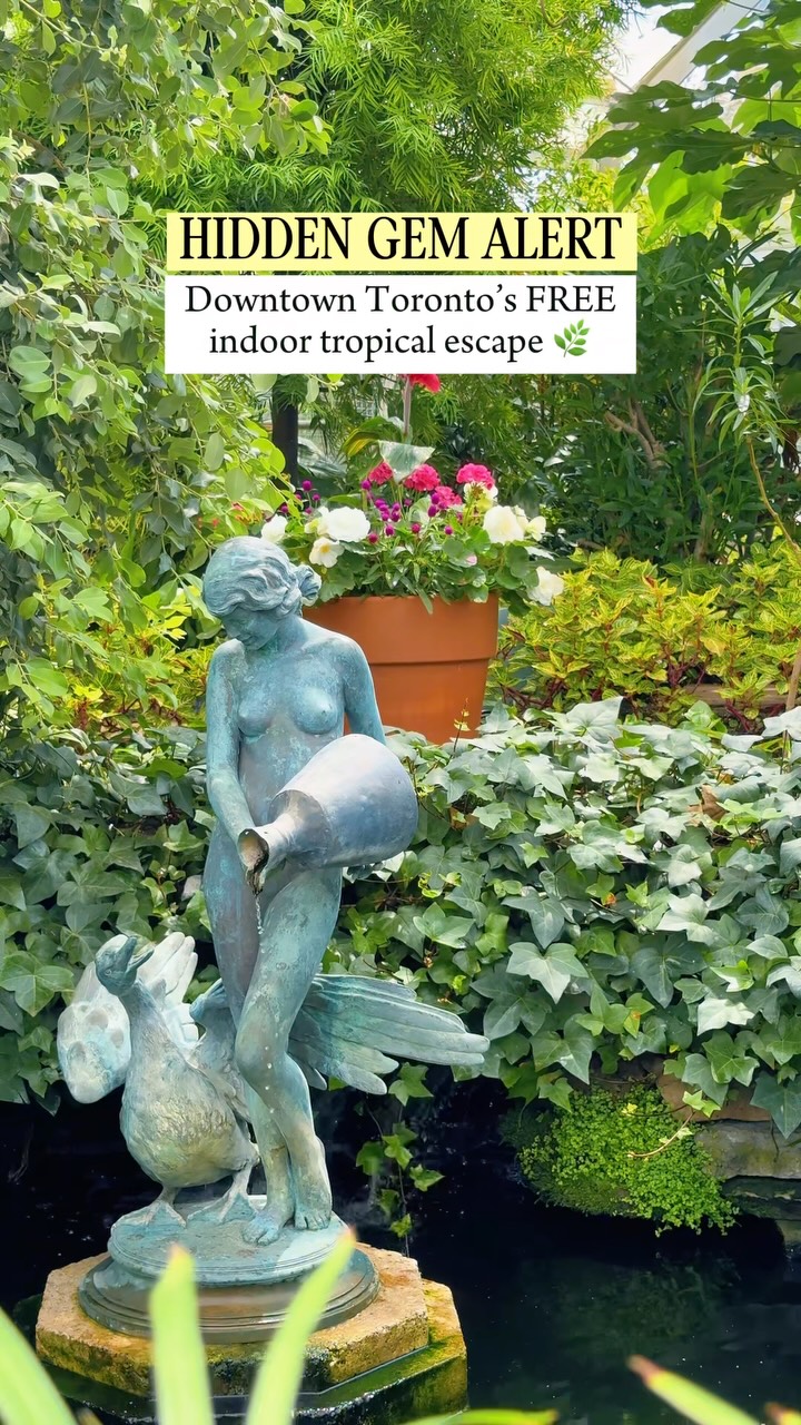 𝙅𝙊𝙐𝙍𝙉𝙀𝙔 𝙊𝙁 𝙍𝙊𝙎𝙀, Cabbagetown