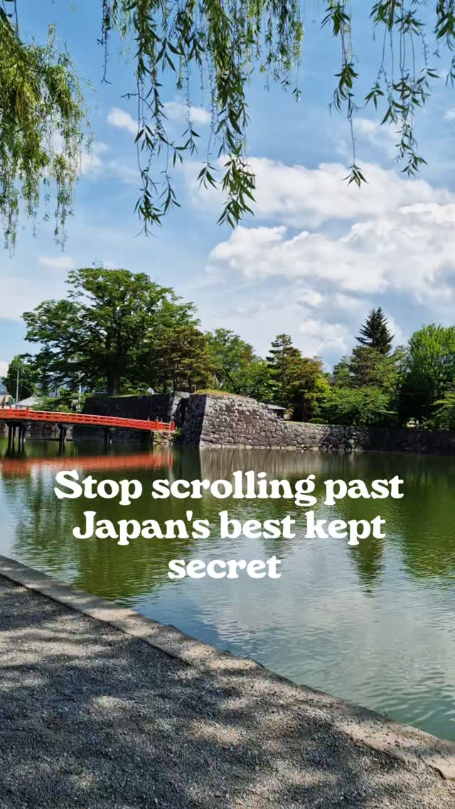 Japan From Scratch | Hi! I'm Dasha 🇦🇺💛🇯🇵, Matsumoto-jō Castle