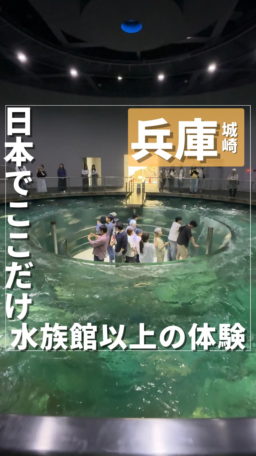 のん旅 | 大阪からのお出かけ情報！, Kinosaki Onsen