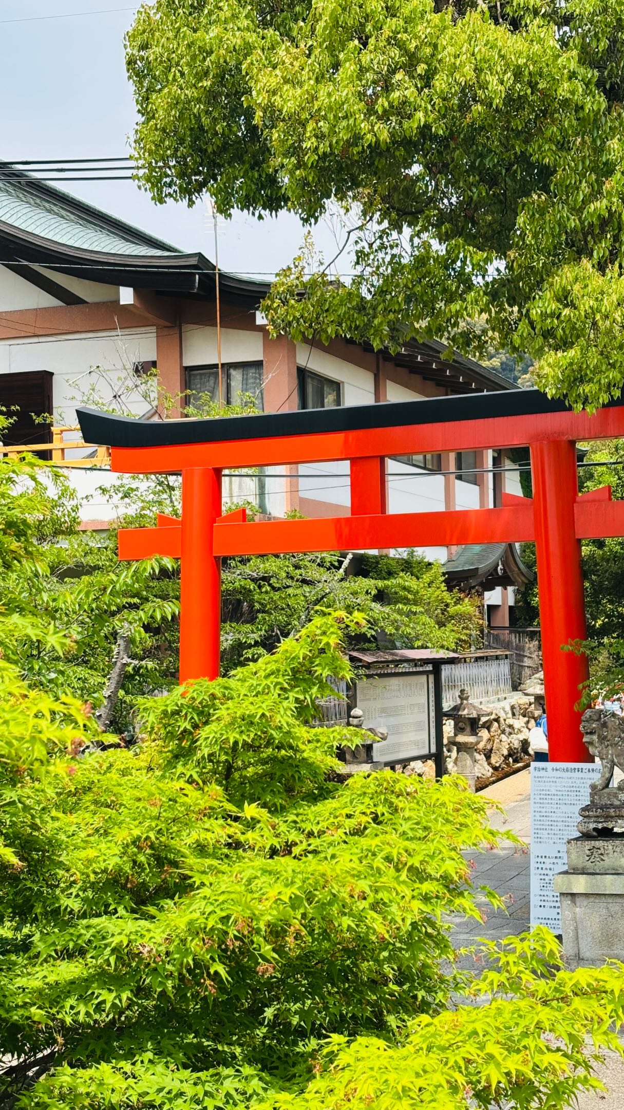 🇯🇵Around Japan-Travel Planning, Tokyo Tower