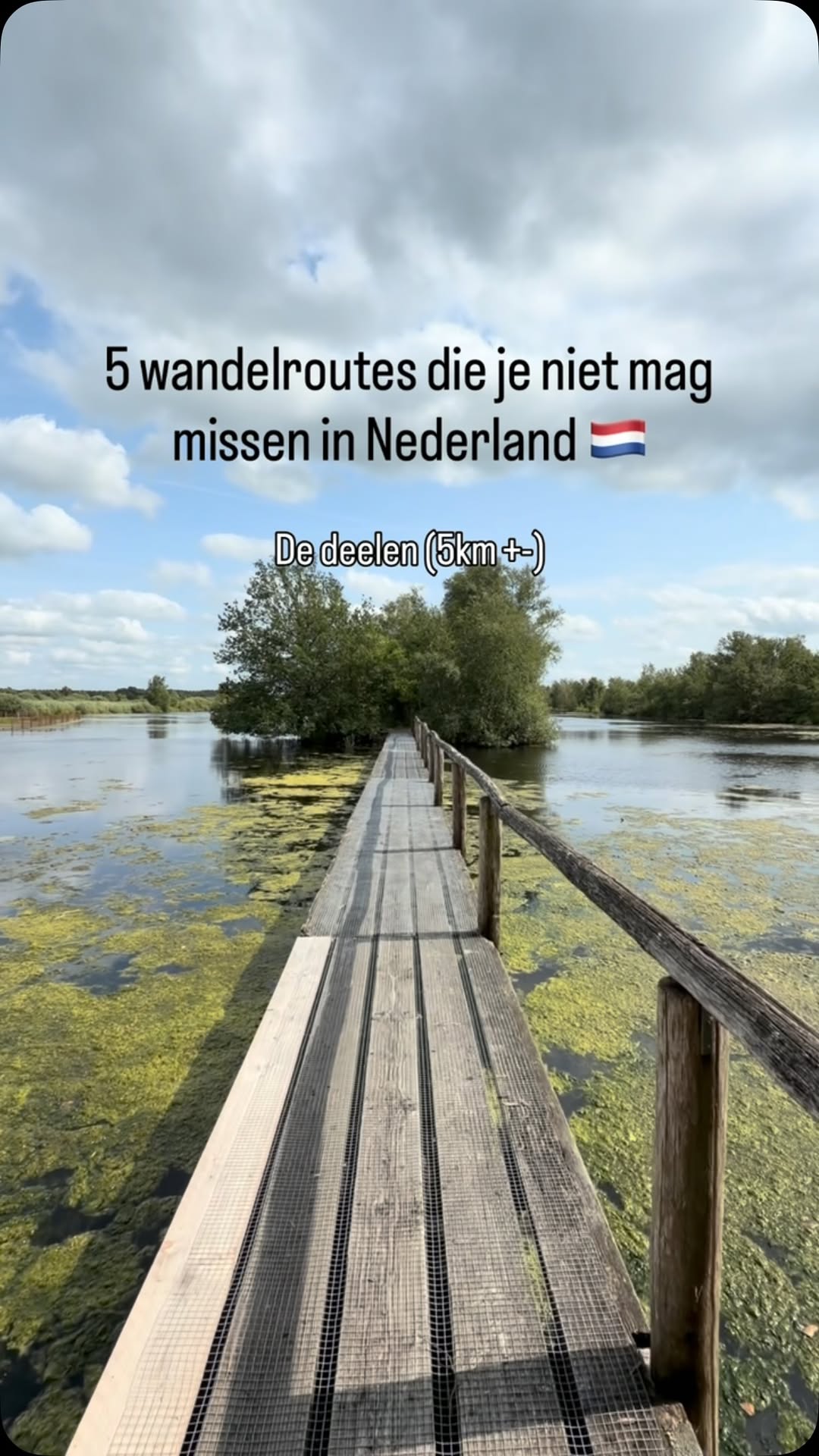Marsha Brouwer | find your next adventure 🌎🌳, Lettelberterpetten