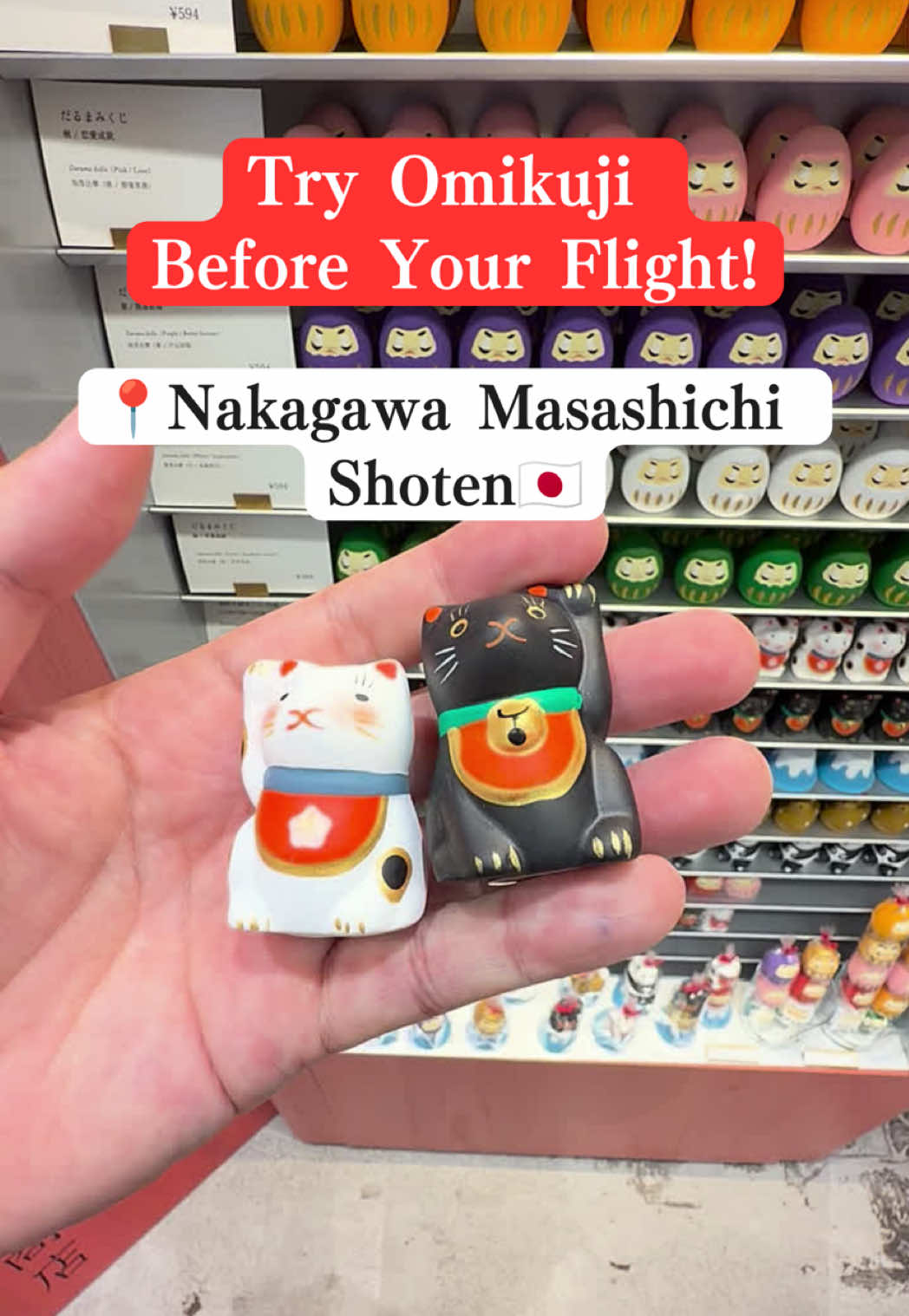 BringJapanHome, Narita International Airport