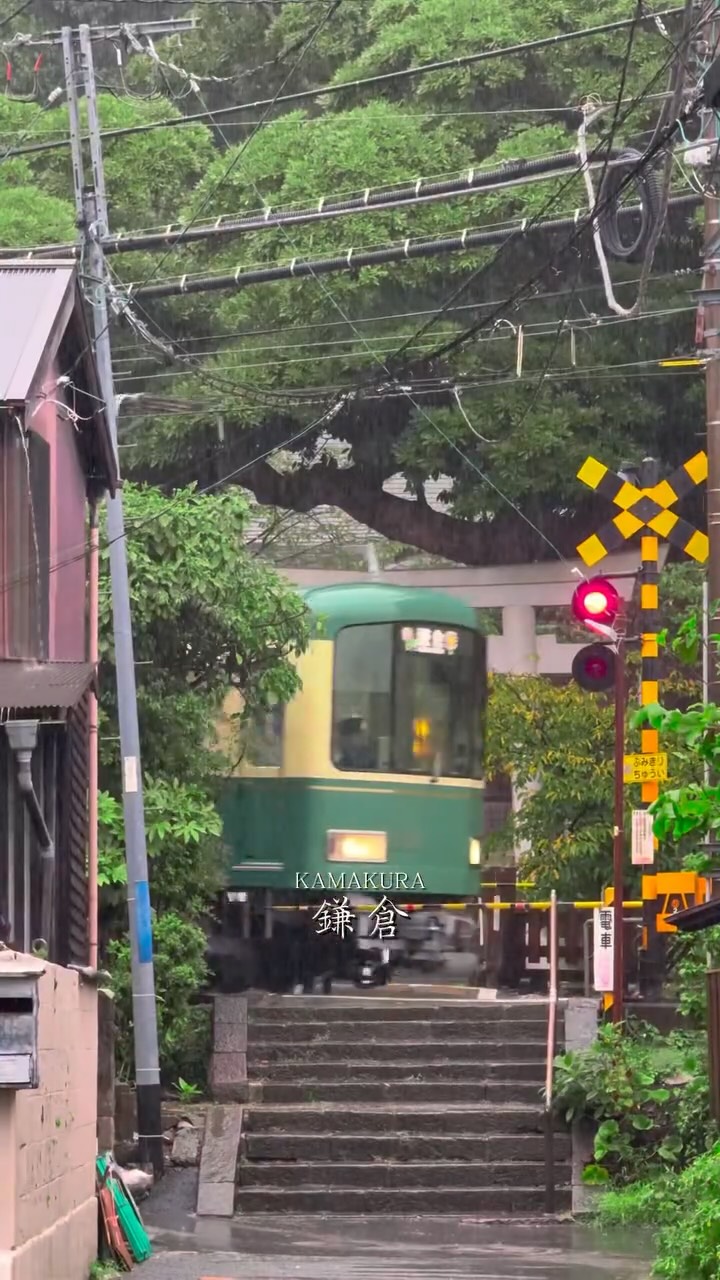 まっちゃ, Kotoku-in