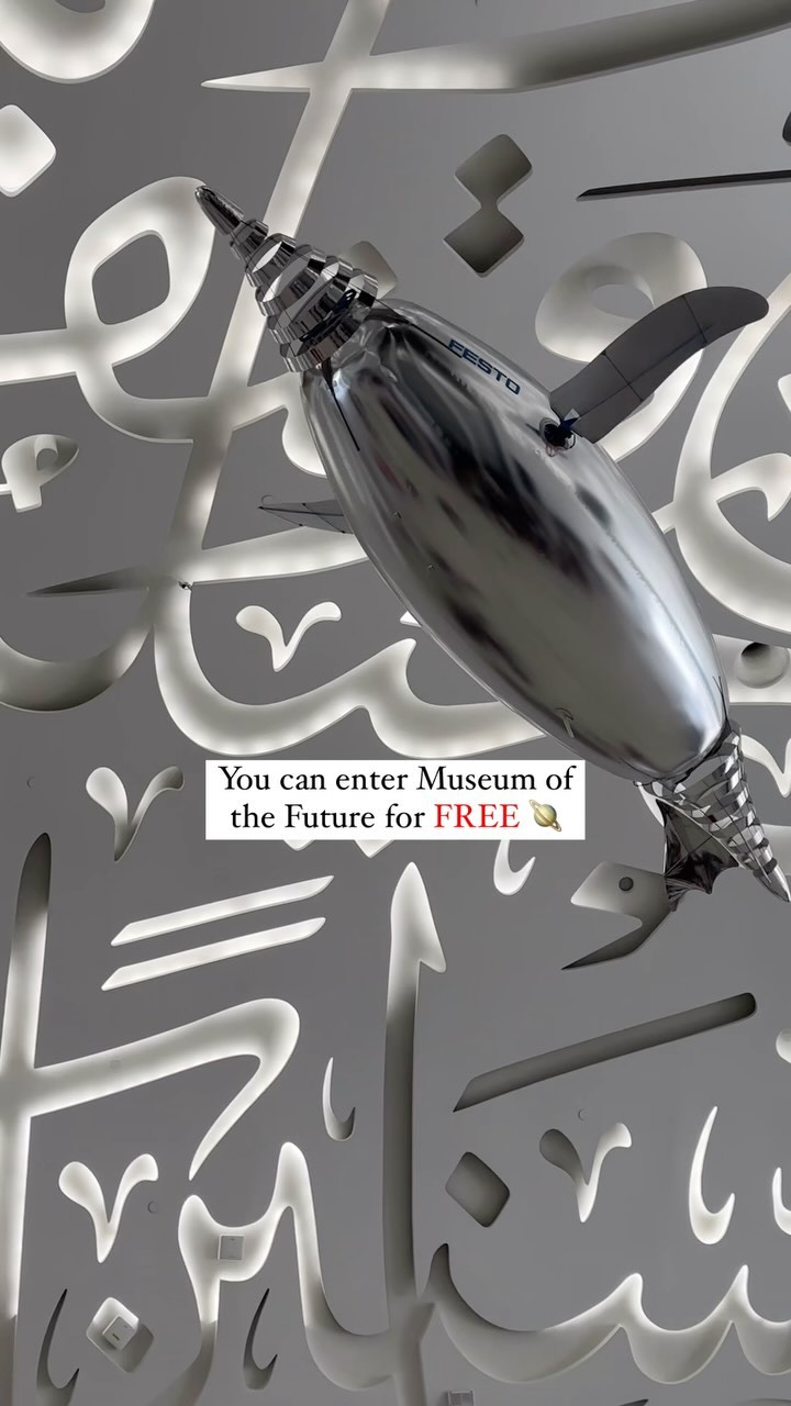 𝗟𝗨𝗟𝗨 لولو | UAE Heritage & Culture 🇦🇪, Museum of The Future