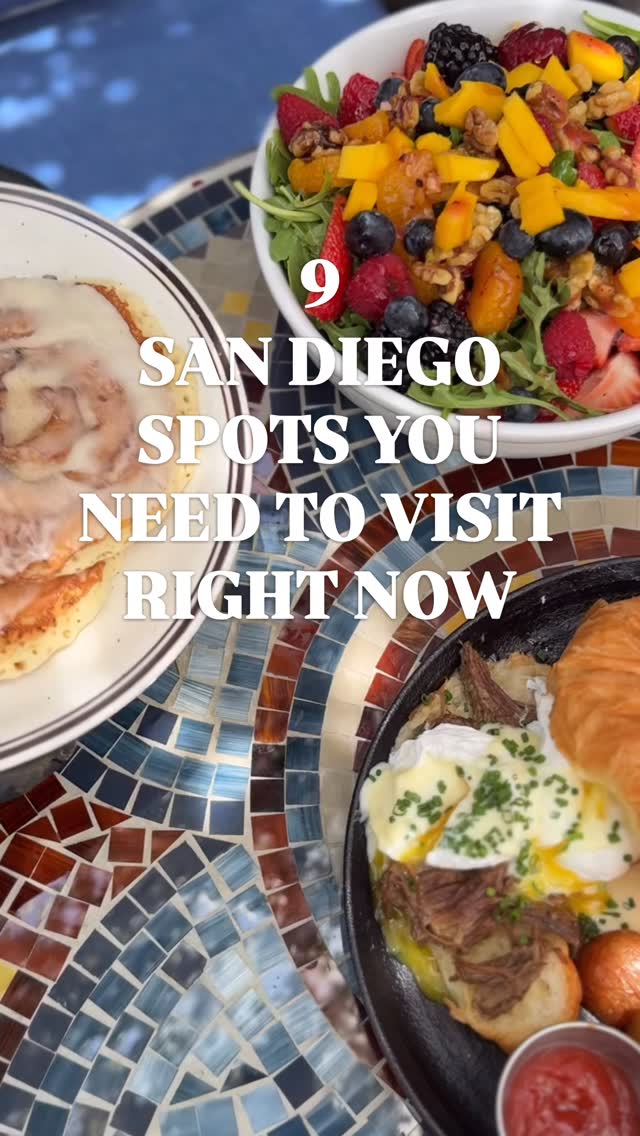 Ellie Ferdowsi | San Diego Content Creator, The Lion's Share