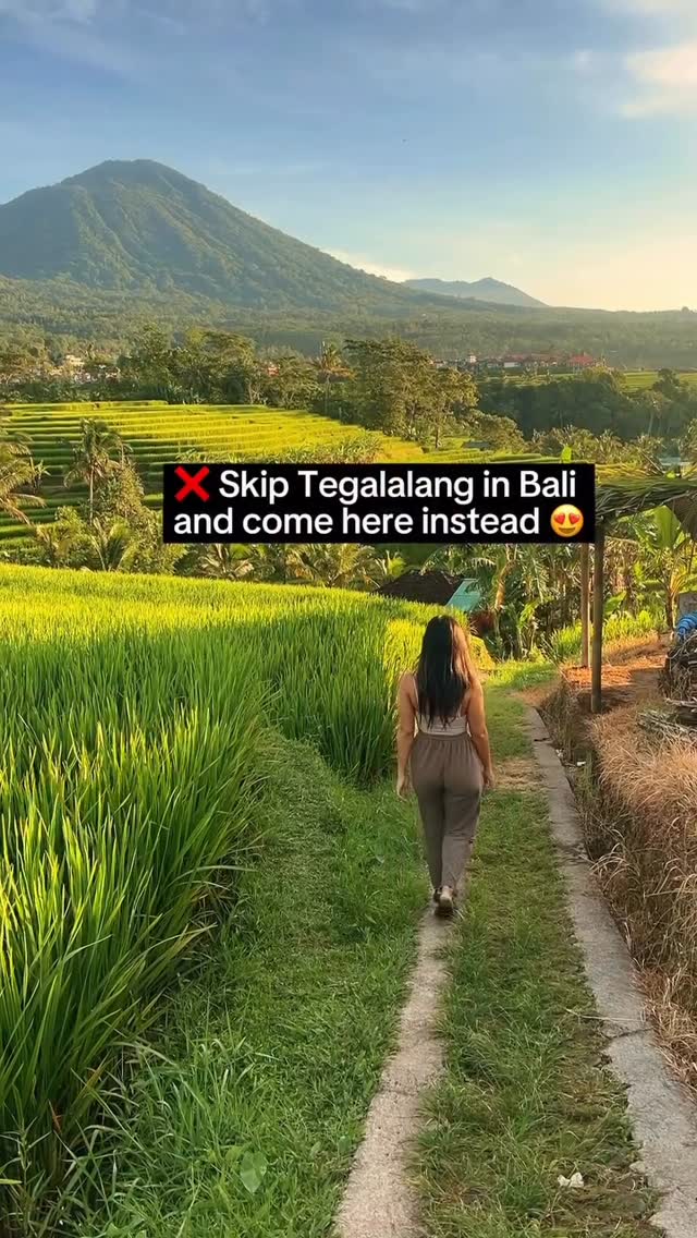 Vy | Travel Tips & UGC Creator 🦭🌴, Jatiluwih Rice Terraces