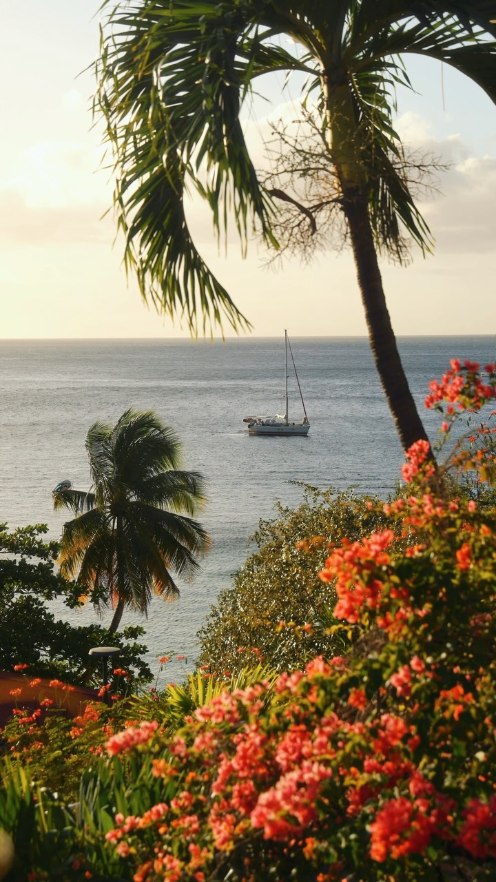 Victor : slow & meaningful travel, anse couleuvre