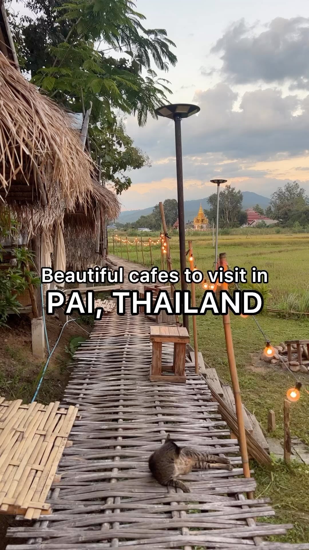 Taylor Taverna - travel and outdoors, Fat Cat Restaurant