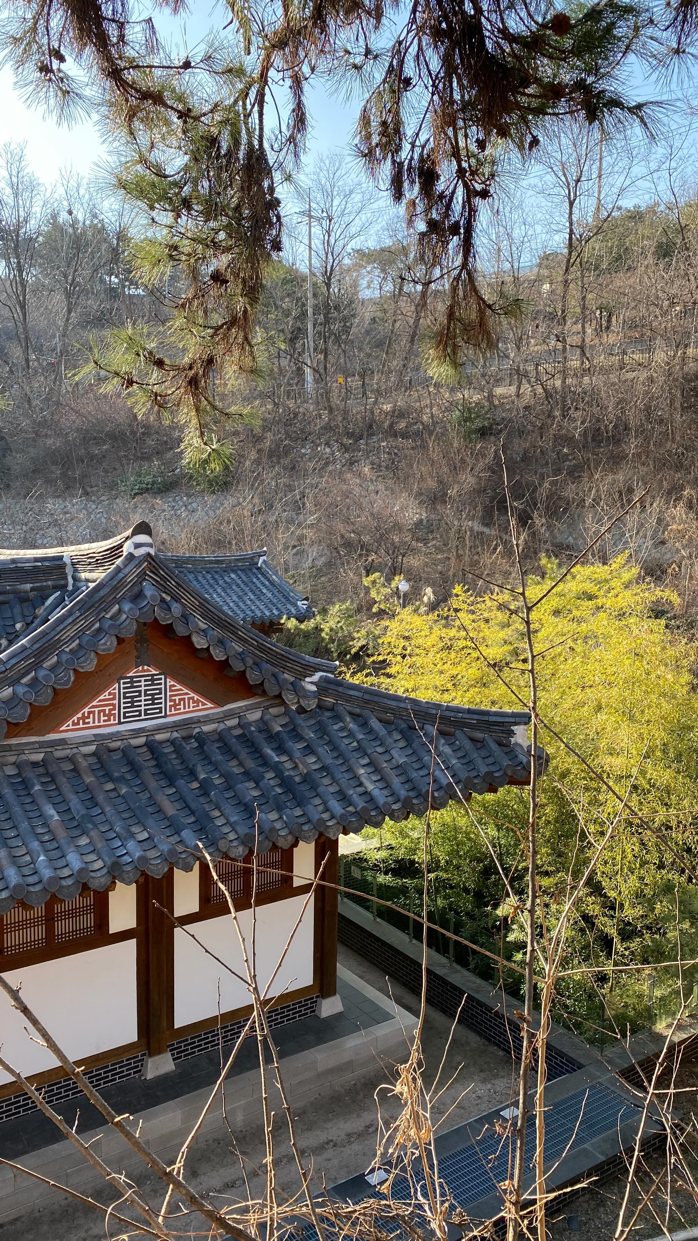 Lara, Namsangol Hanok Village