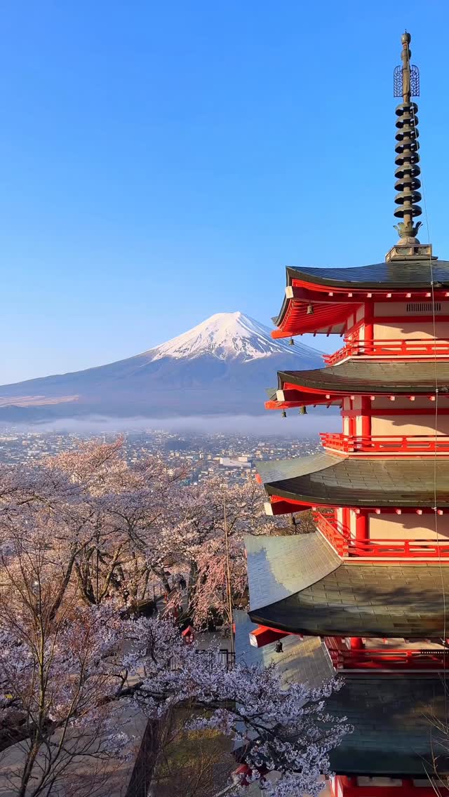 樂冠廷 阿樂╵景點╵旅遊╵住宿╵美食╵日本旅遊, Tokyo Tower