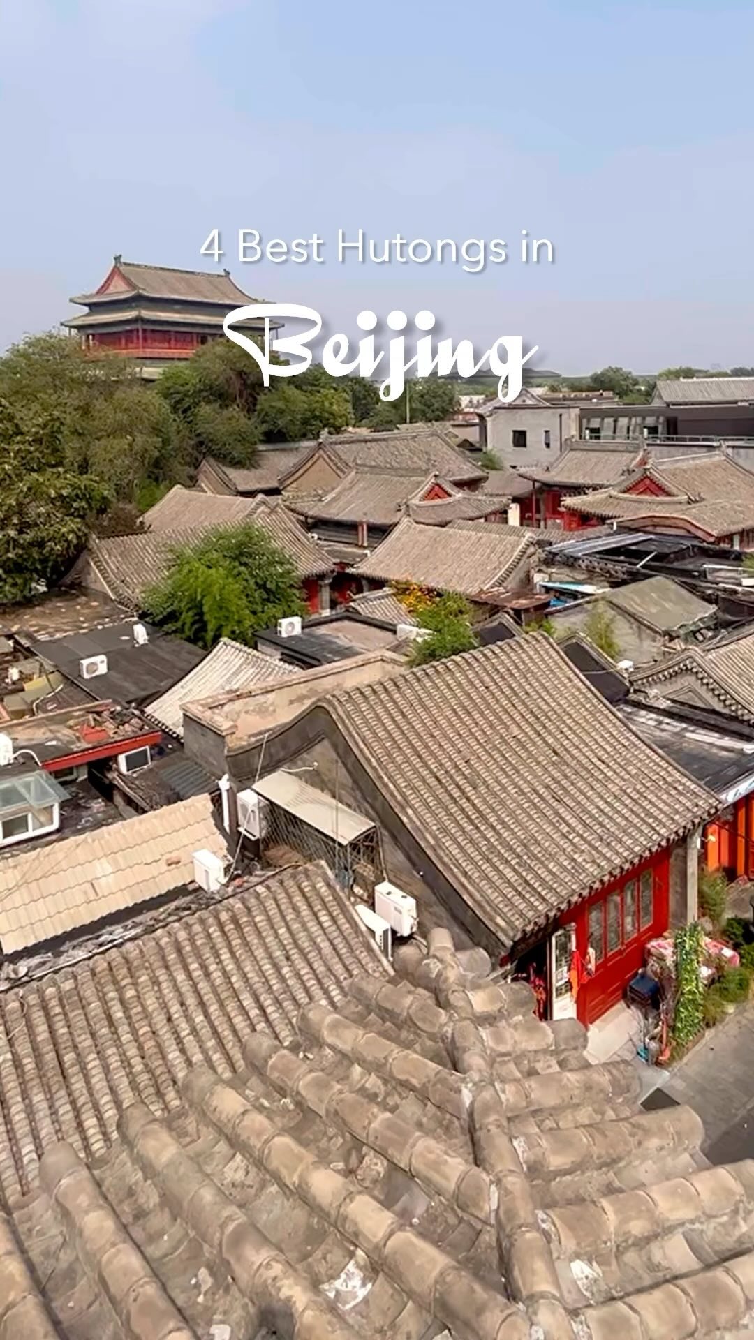 TheChinaTrips | China Travel & Culture, South Luogu Lane