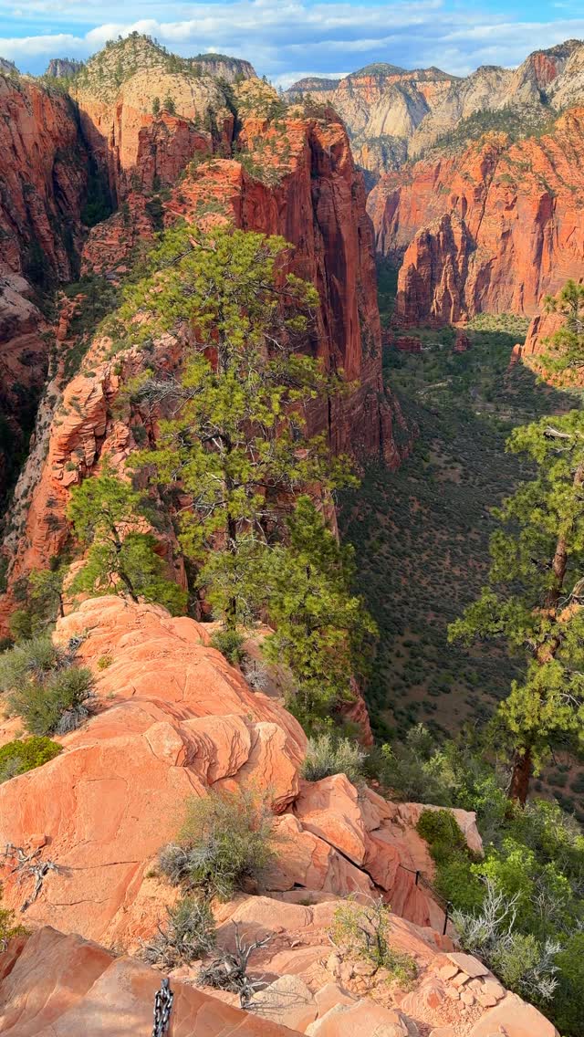 Sunetra ⋒ Travel & Adventure Creator ✈, Zion National Park