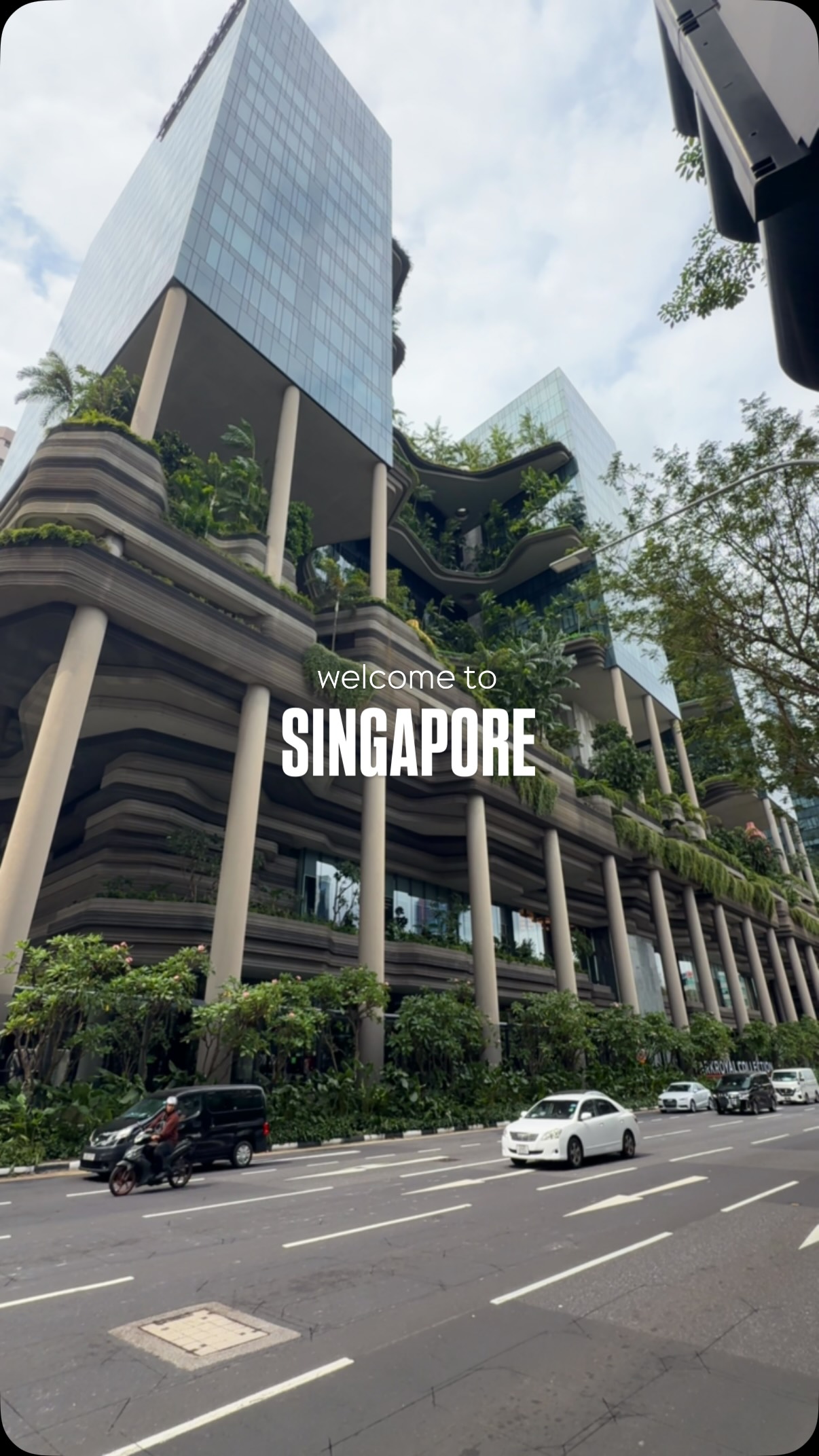 Tasha | Travel Creator | Inspo • Guides • Cool Stays, Gardens by the Bay