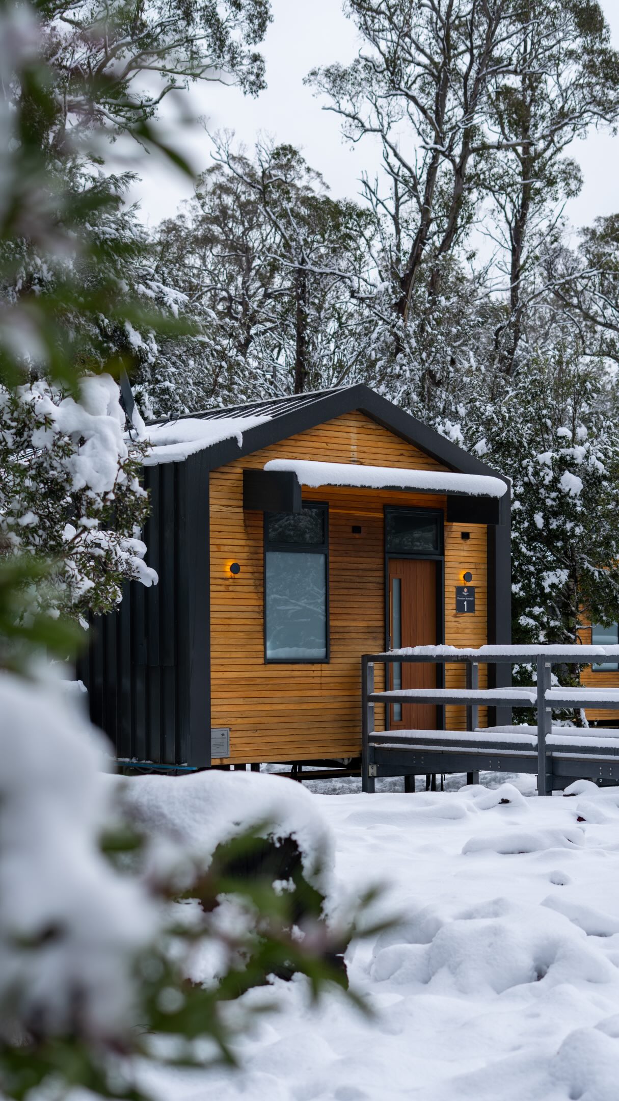 Ben Little | Travel Storyteller, Cradle Mountain-Lake St Clair National Park