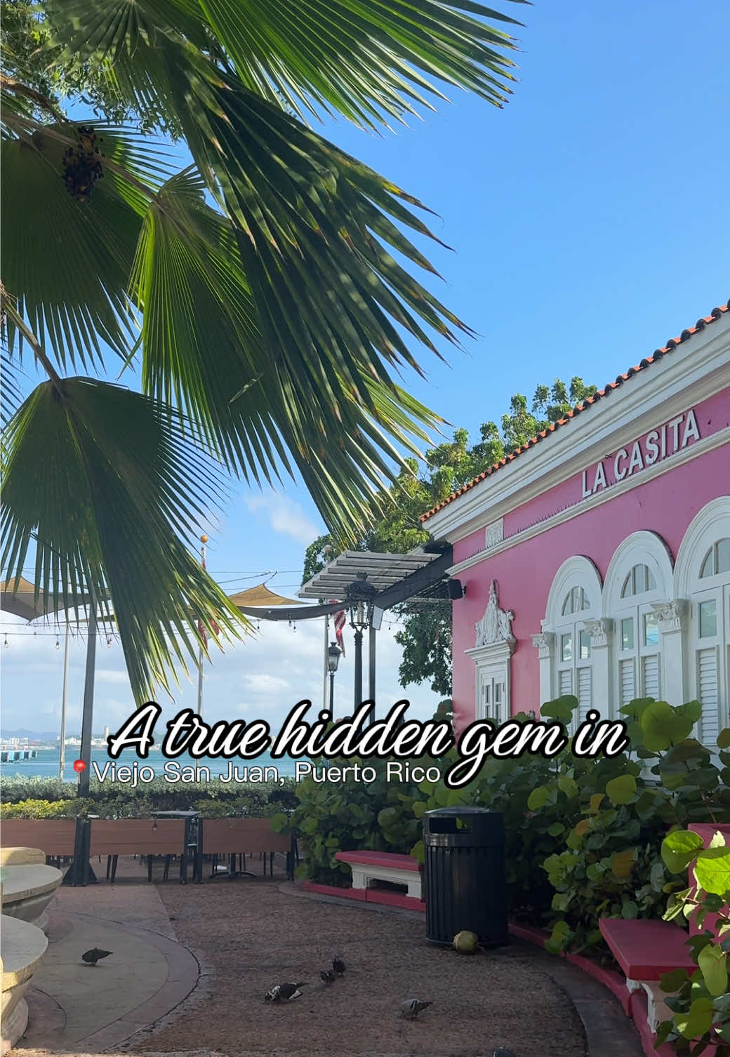 Mauilena, Viejo San Juan