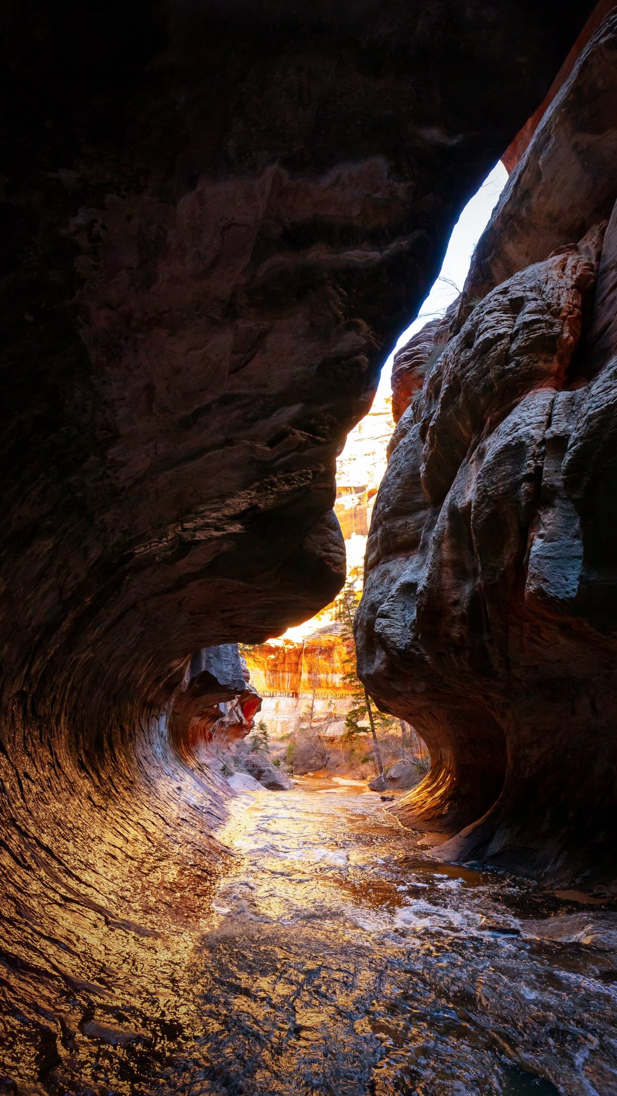 Rob B, Zion National Park