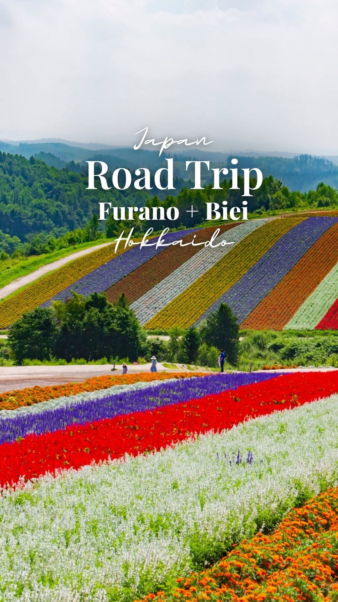 Andrew Stajfer, Panoramic Flower Gardens Shikisai-no-oka