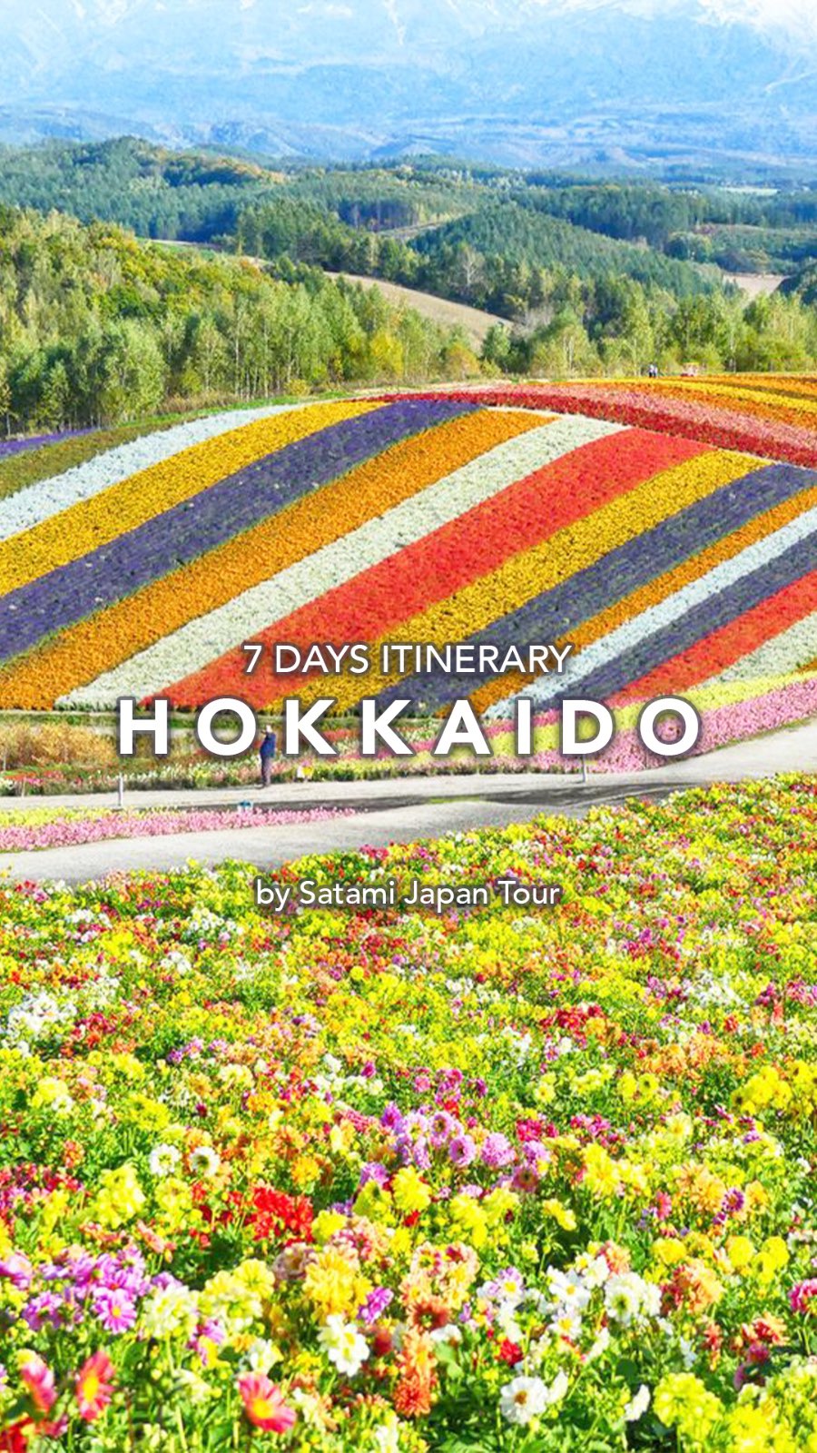 Francisca Limanto, Panoramic Flower Gardens Shikisai-no-oka