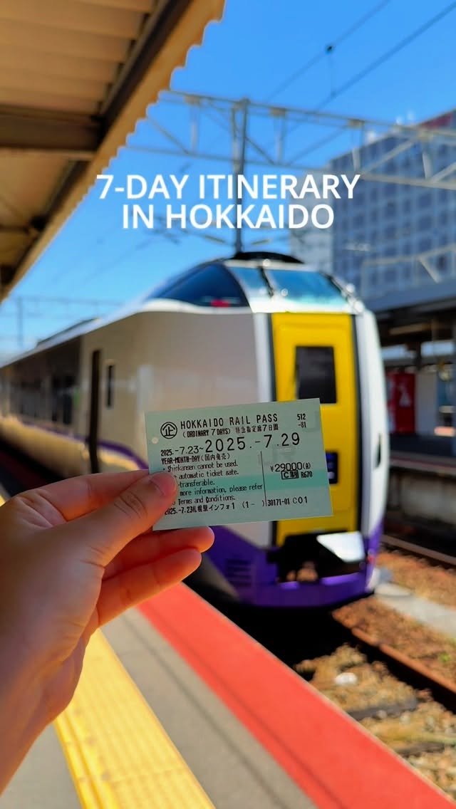 Inspired by Japan 🇯🇵, Mount Hakodate