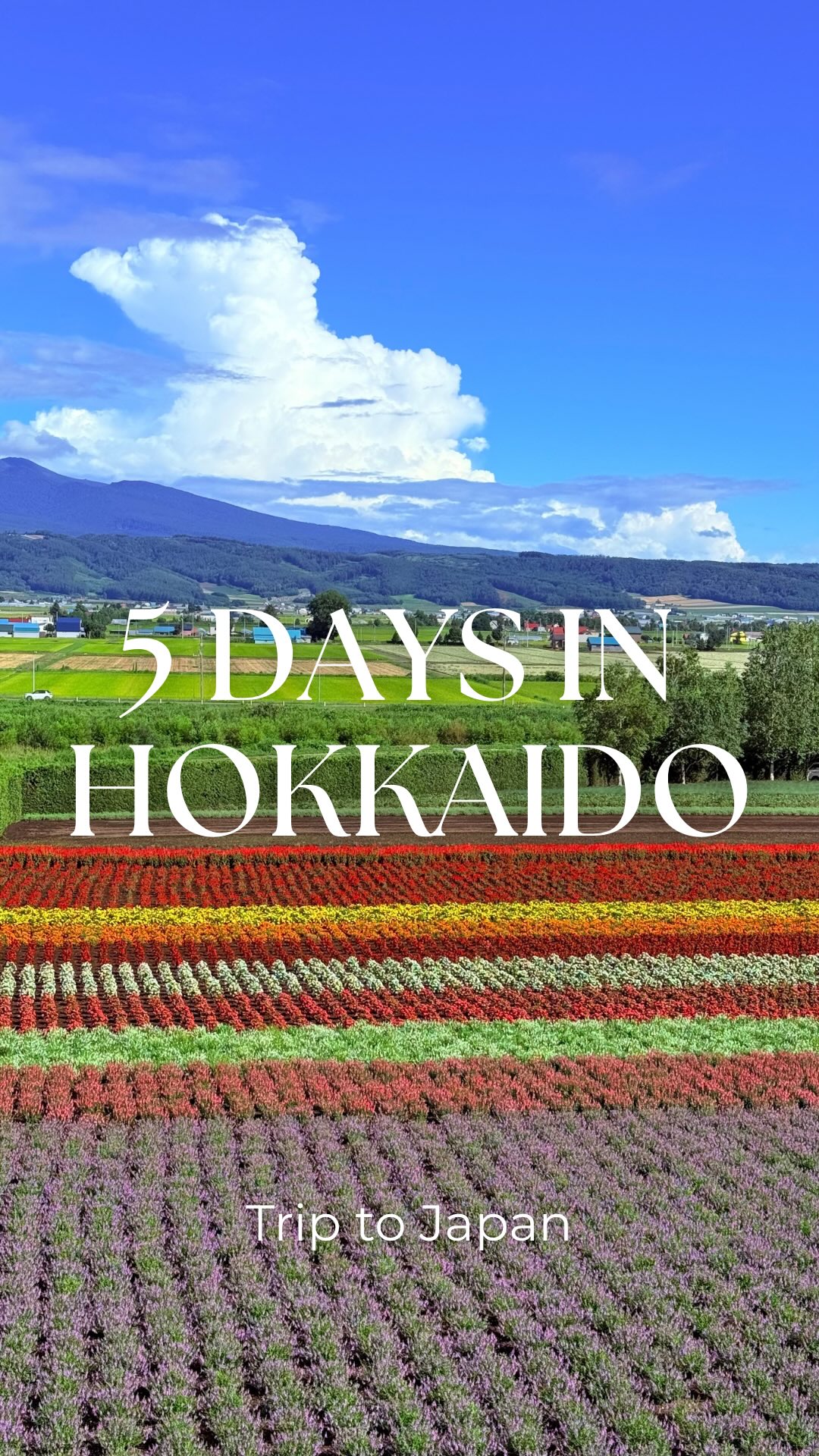 Trip To Japan, Panoramic Flower Gardens Shikisai-no-oka
