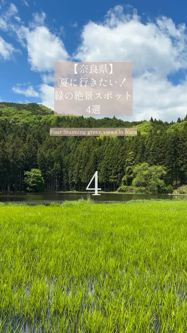 Peidai Travel🇯🇵, Tanzan Jinja