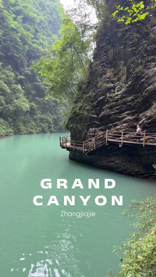𝐀𝐥𝐞𝐱 • 𝐓𝐨𝐫𝐨𝐧𝐭𝐨𝐧𝐢𝐚𝐧, Zhangjiajie National Forest Park