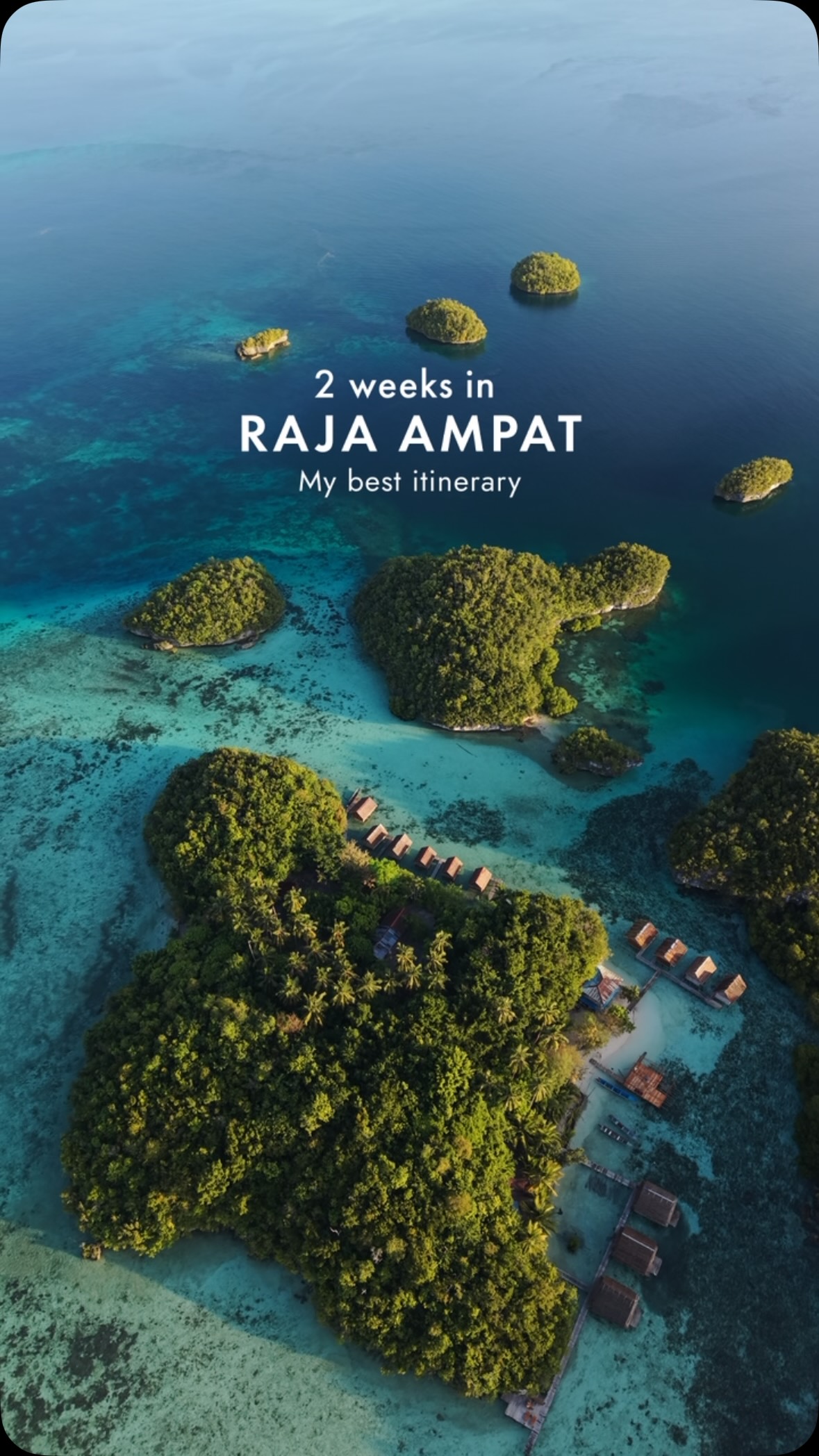 Chris • Travel Creator, Raja Ampat Regency