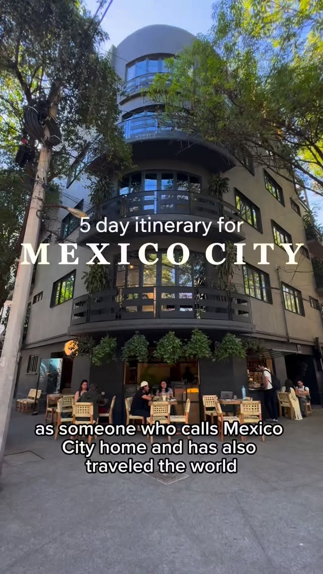 Declan Chapin | Travel + Lifestyle Creator, Zócalo