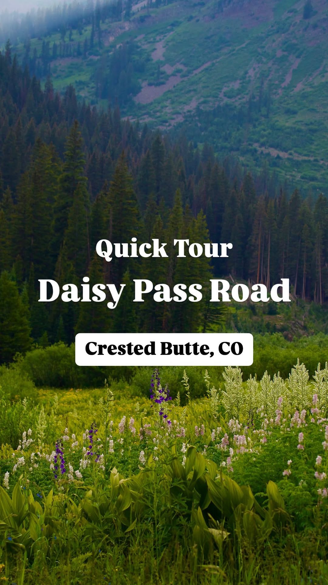 The Taco Trail Discover Colorado, Daisy Pass