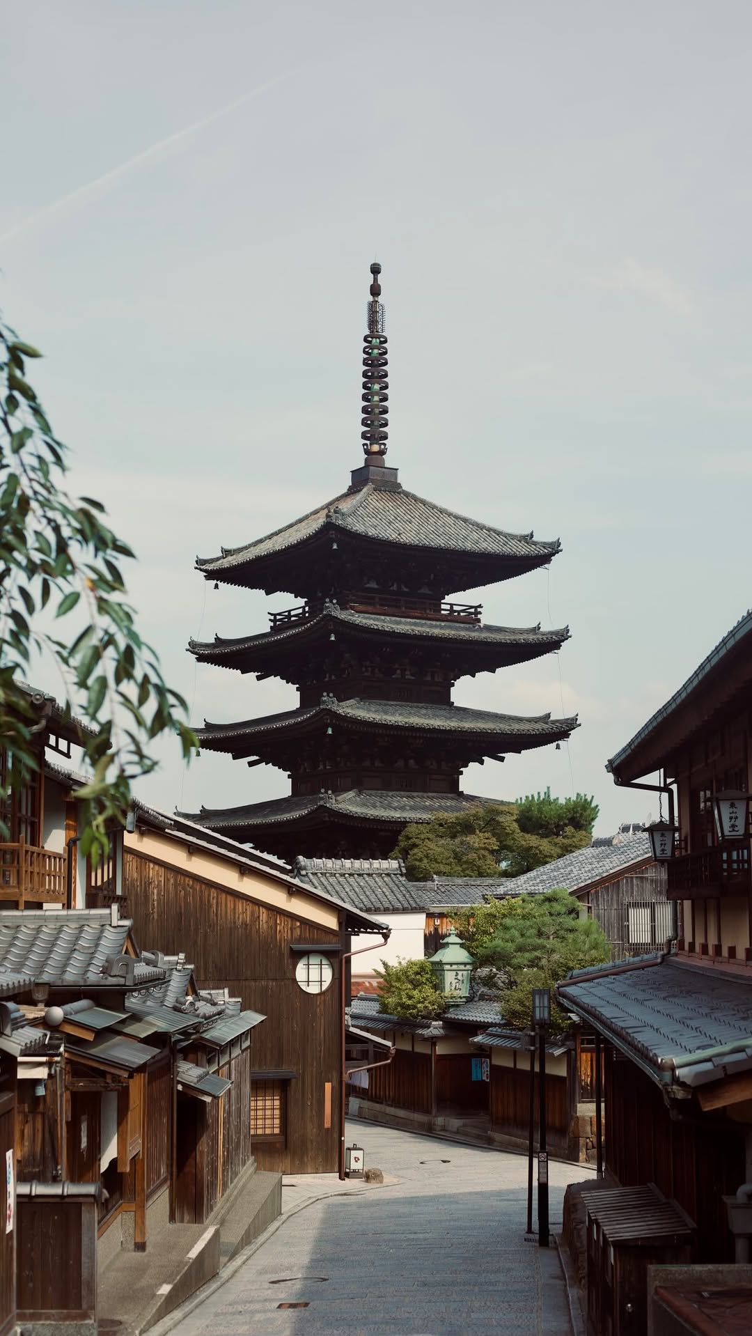 Sasha Chopik, Kiyomizu-dera