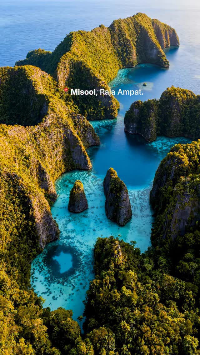 Open Trip Labuan Bajo & Tour Komodo, Raja Ampat Regency