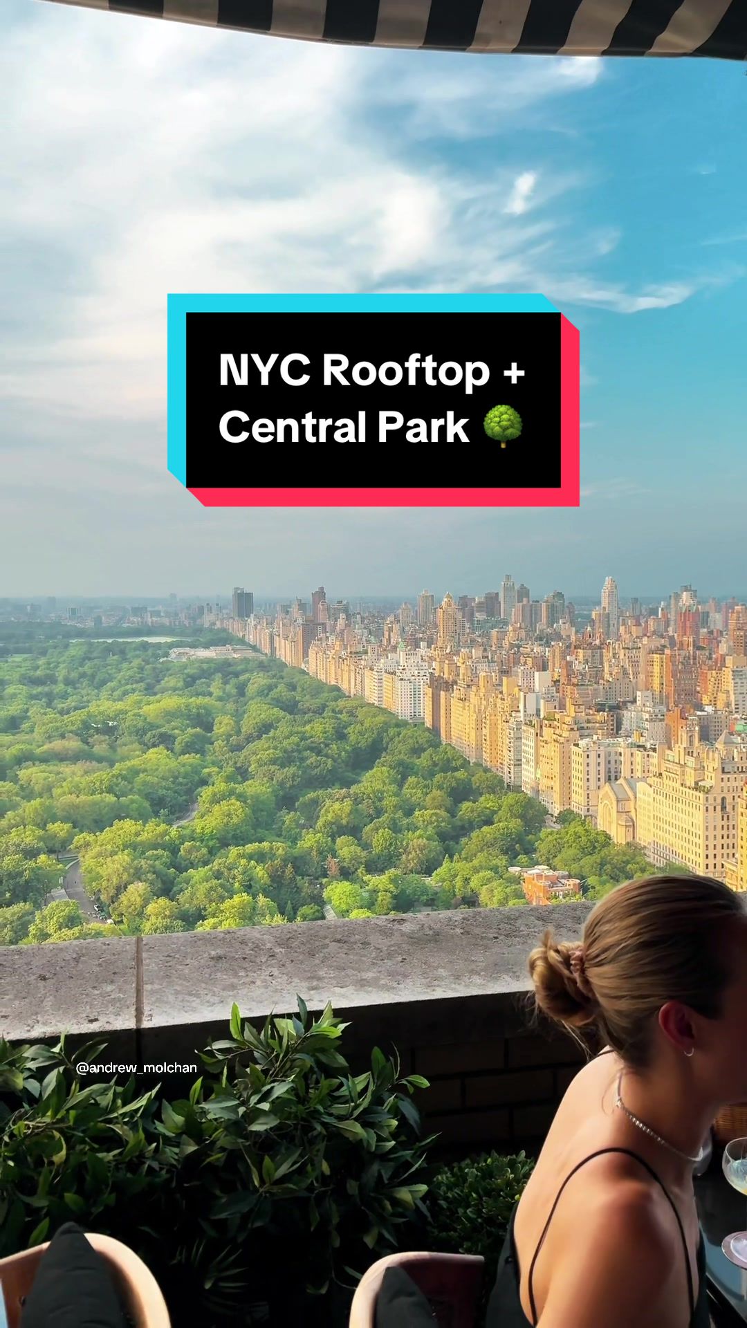 Andrew_Molchan, Central Park