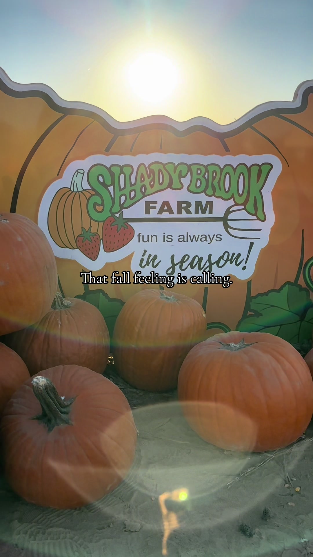 Visit Philly, Shady Brook Farm