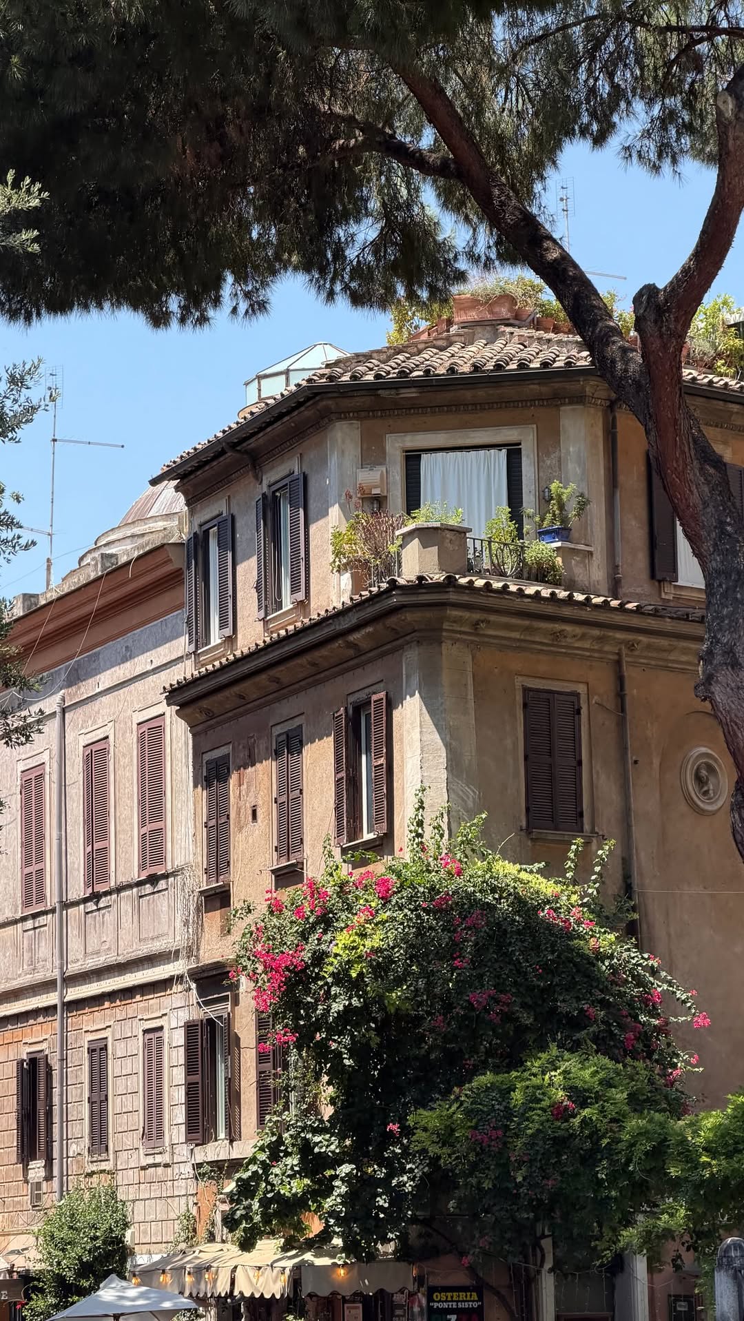 Ani, Forno Monteforte
