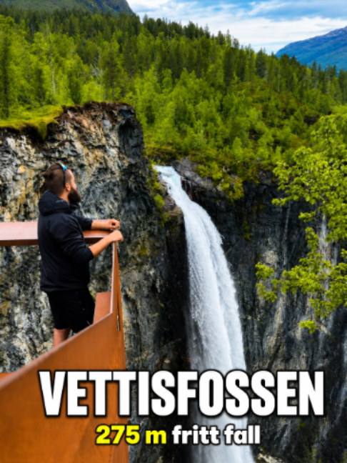 catandtor, Vettisfossen