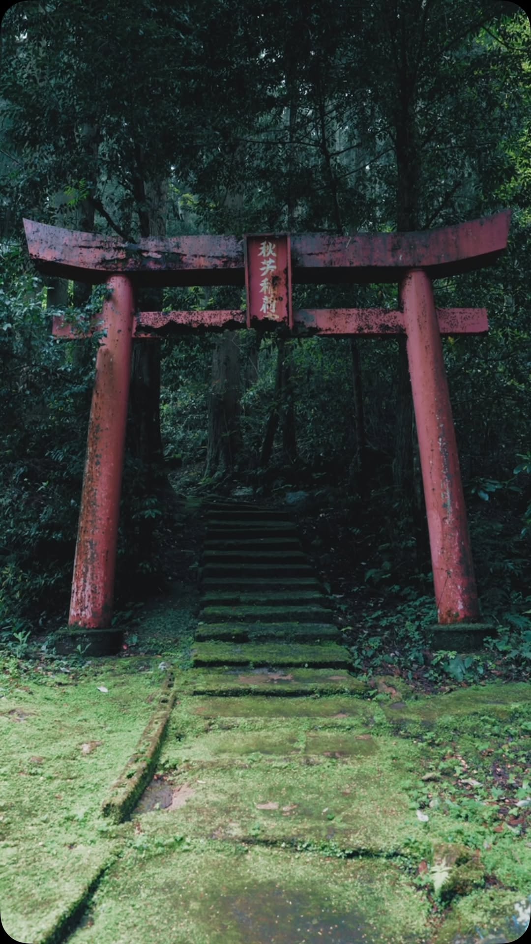 HOWELL / ハウエル, Kinkaku-ji