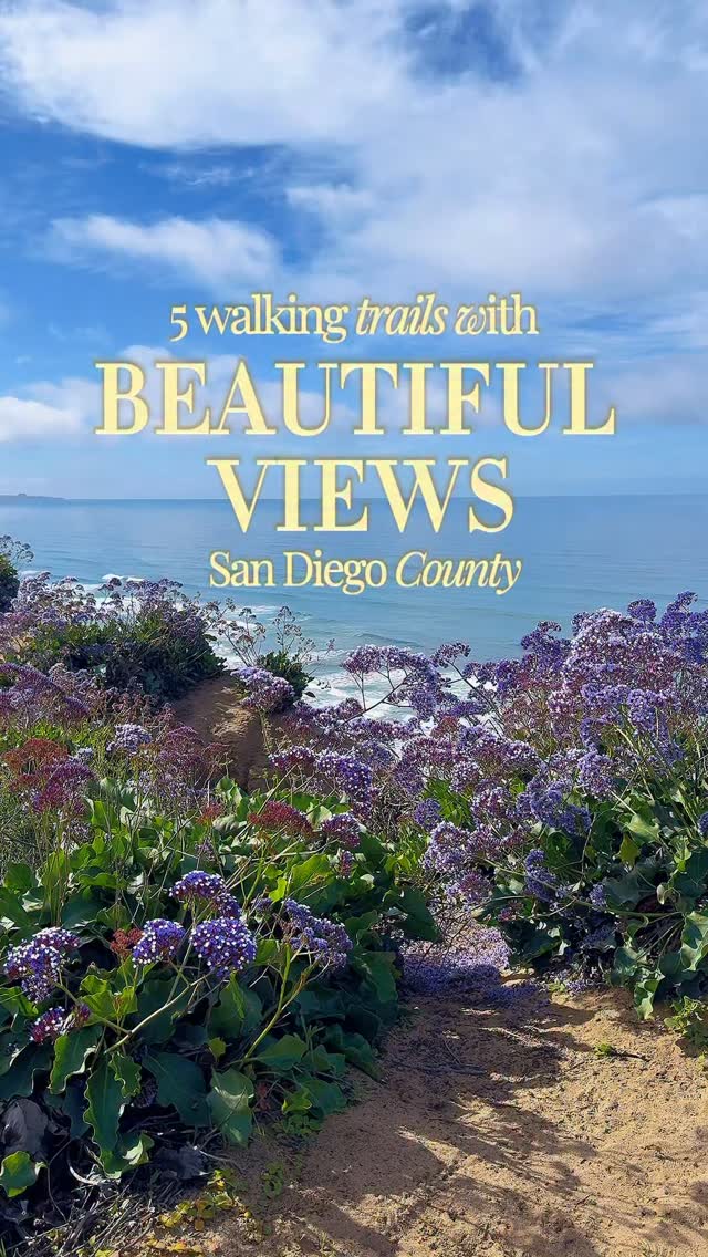 B L A I Z E | California + Travel, Torrey Pines State Natural Reserve