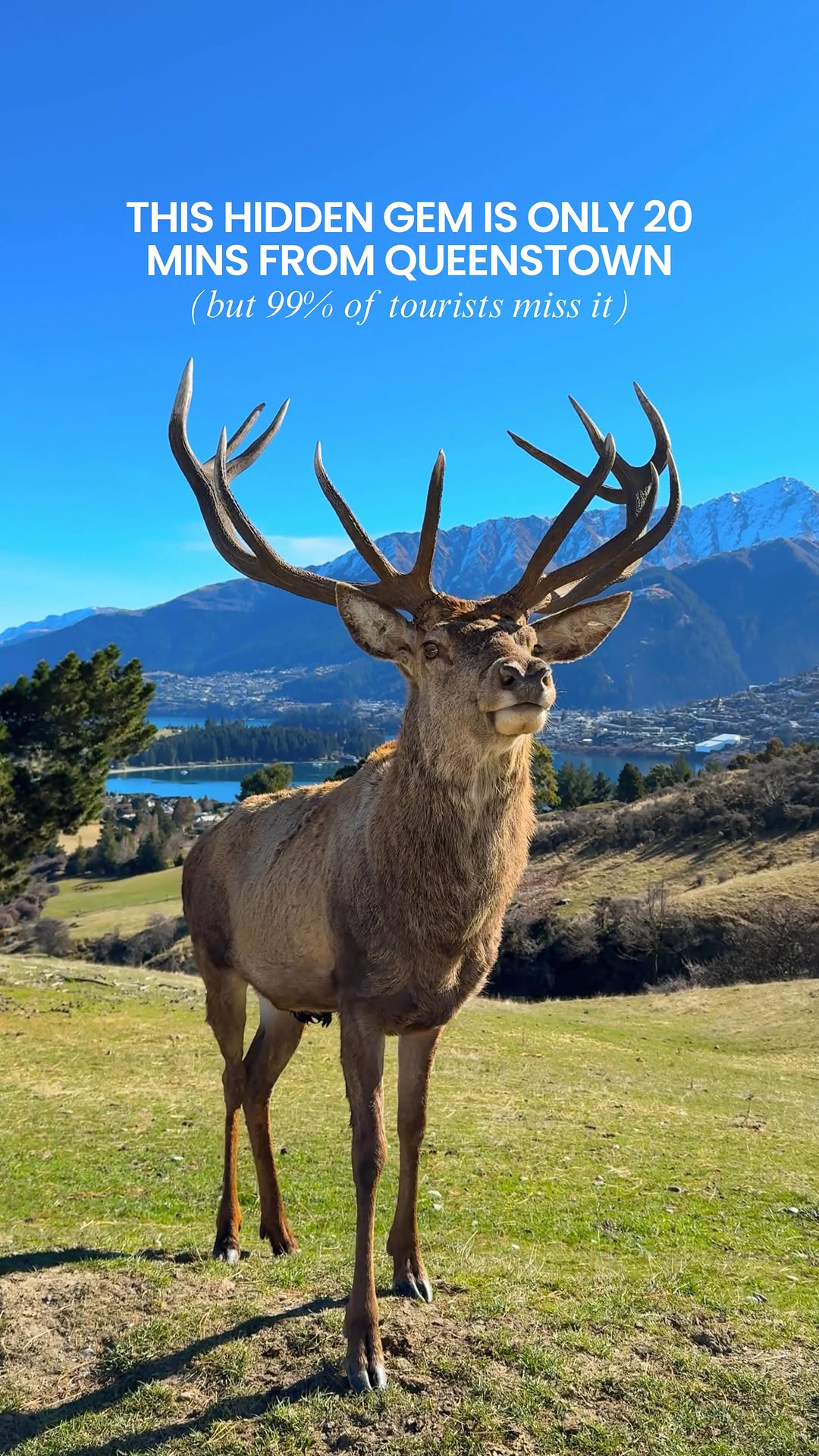 CHELSEA | Travel, Food + Lifestyle, The Remarkables Ski Area