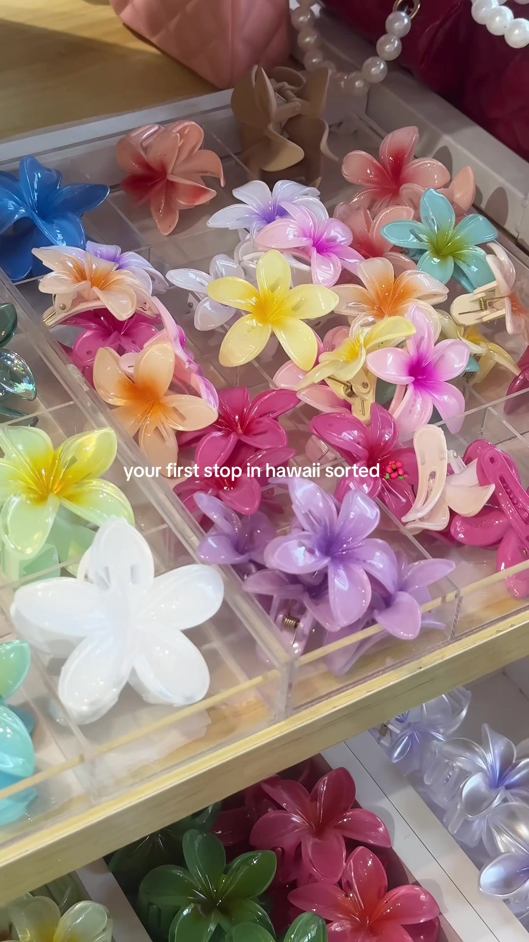 Tayla, Waikiki